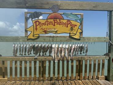 Reel peeling adventure