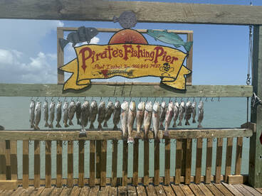 South Padre Island Report Photo 1