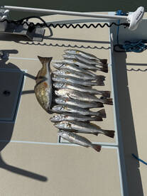 South Padre Island Report Photo 2