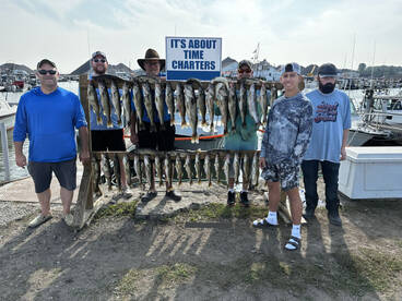 Ashtabula County Report Photo 1