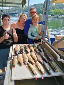 Carroll County Report Photo 4
