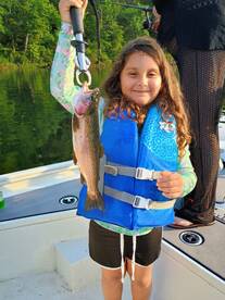 Carroll County Report Photo 3
