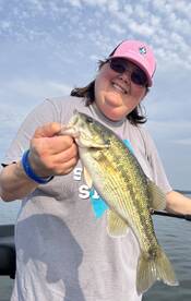 Carroll County Report Photo 2