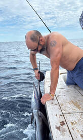 Sailfish