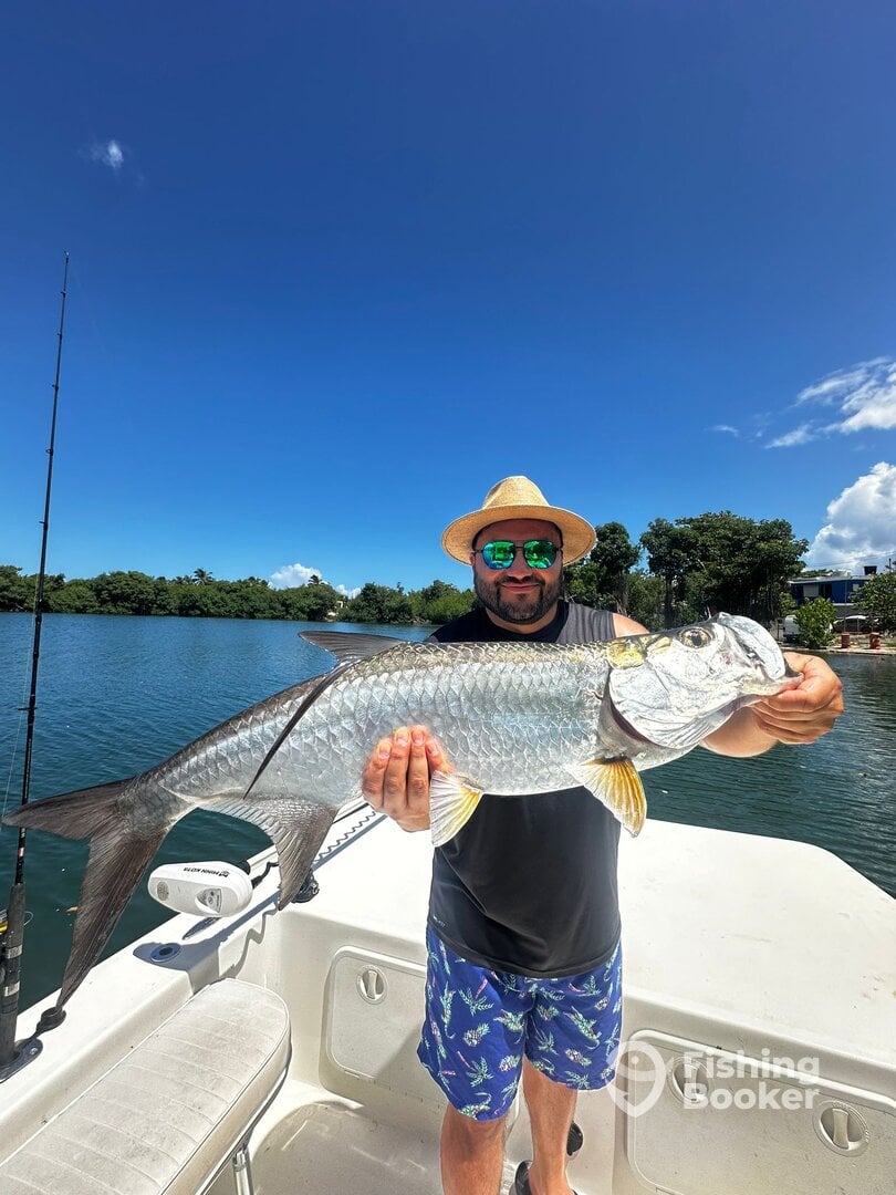 San Juan Report Photo 0
