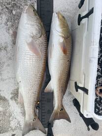 River Road Report Photo 2