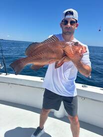 Dania Beach Report Photo 2