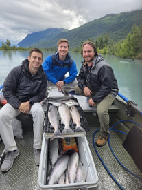 Palmer Report Photo 1