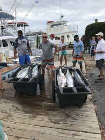 Manteo Report Photo 2