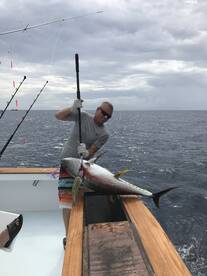 Manteo Report Photo 1