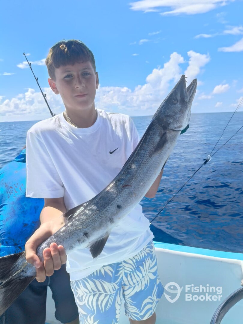 Playa Del Carmen Report Photo 0