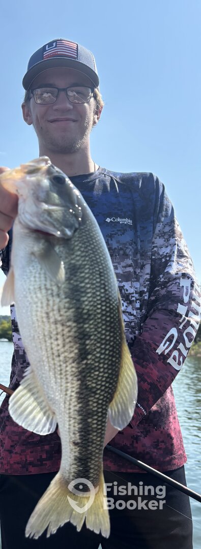 Branson Report Photo 0