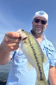 Branson Report Photo 2