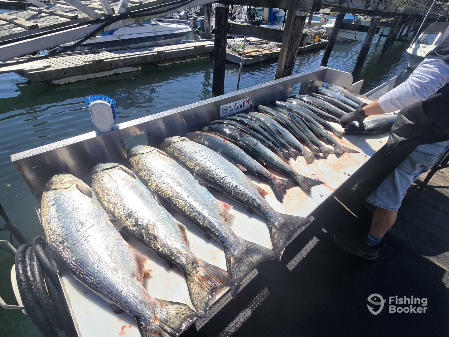 Sooke Report Photo 0