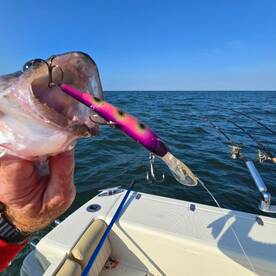 Lakeside Marblehead Report Photo 2
