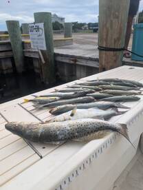 Hatteras Island Report Photo 3