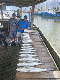 Bayou Lafourche Report Photo 2