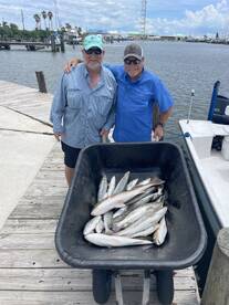 Bayou Lafourche Report Photo 3