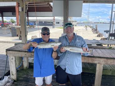 Bayou Lafourche Report Photo 4