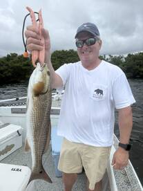 Manatee County Report Photo 4
