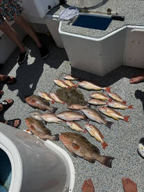 Tampa Bay Report Photo 1
