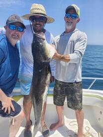 Virginia Beach Report Photo 1