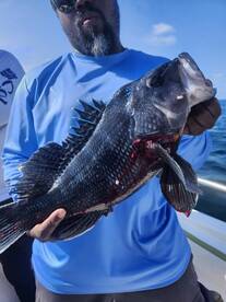 Rudee Inlet Report Photo 1