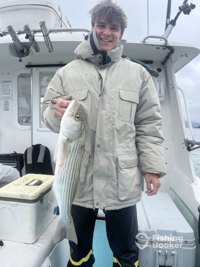 San Pablo Bay Report Photo 0