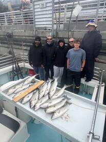 San Pablo Bay Report Photo 1