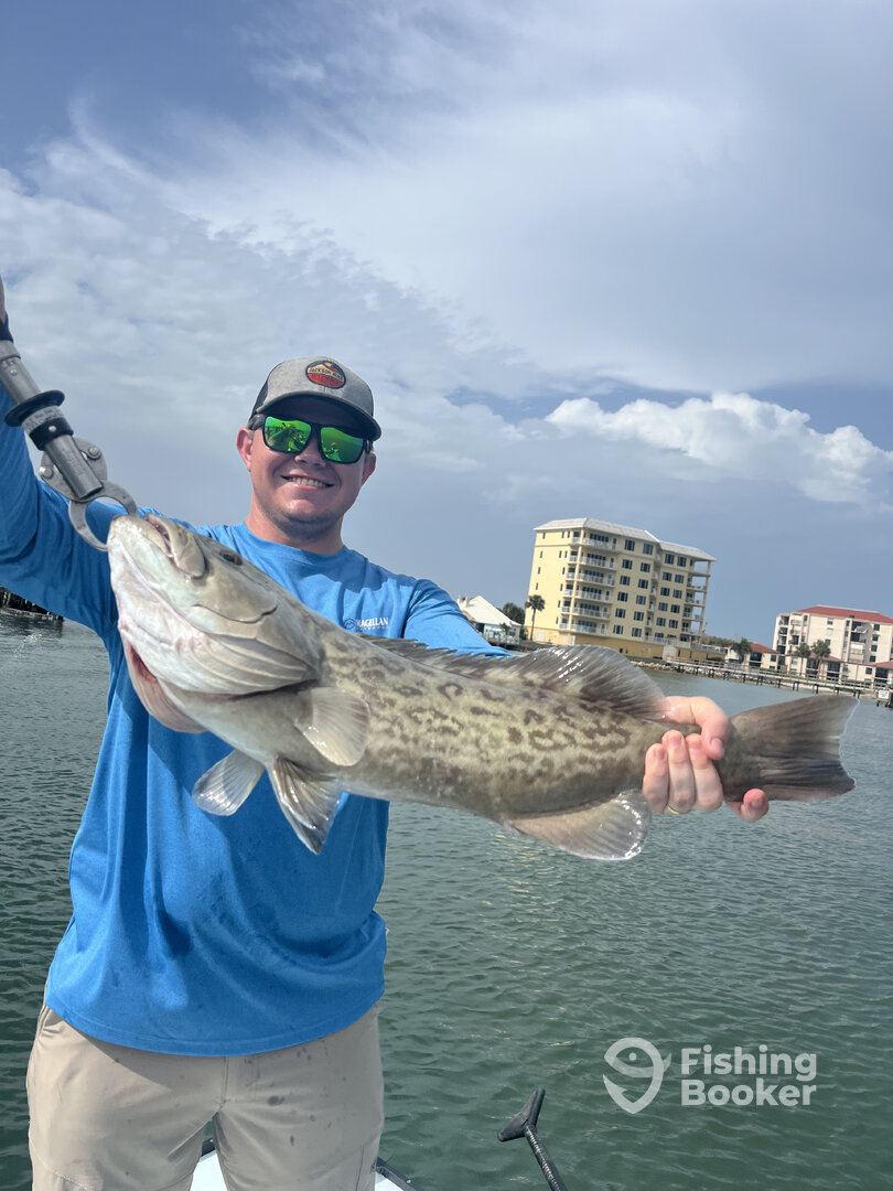 Pinellas County Report Photo 0