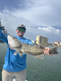 Pinellas County Report Photo 3
