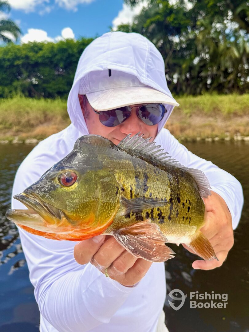 Delray Beach Report Photo 0