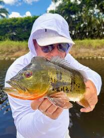 Great summer fishing