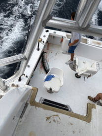 Hatteras Island Report Photo 1