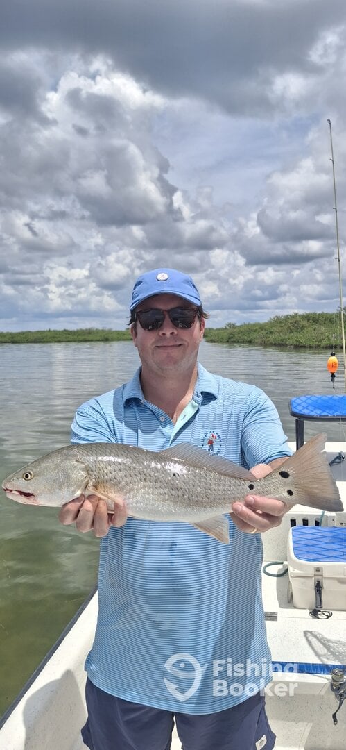 Homosassa Report Photo 0