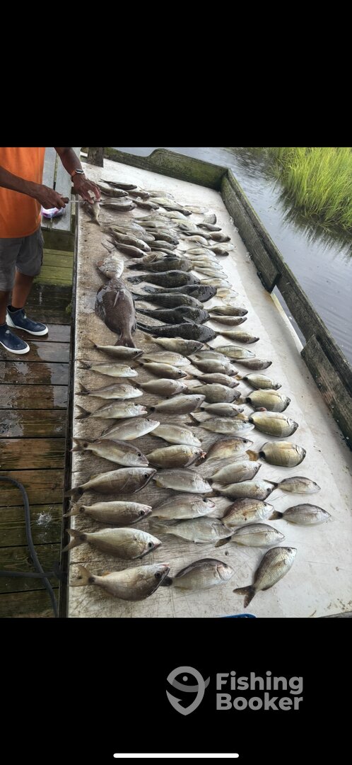 Holden Beach Report Photo 0