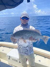 Great summer time Gag and snook fishing