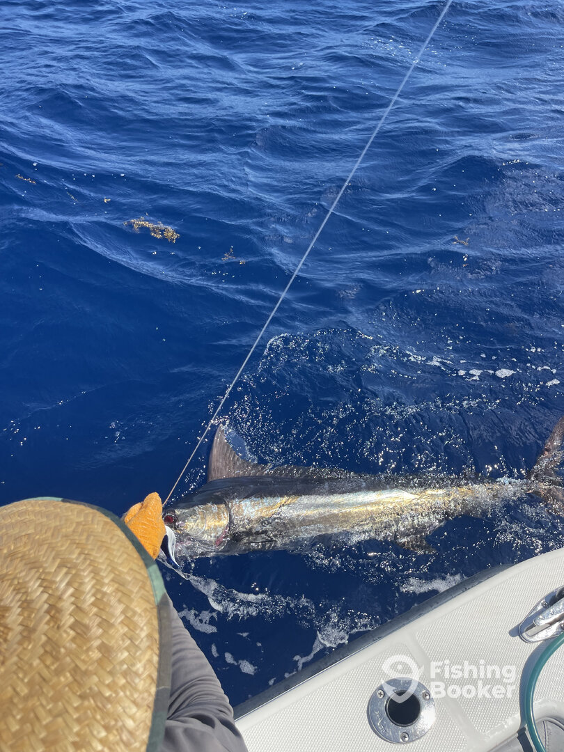 Bahamas Report Photo 0