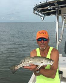 Nice trout