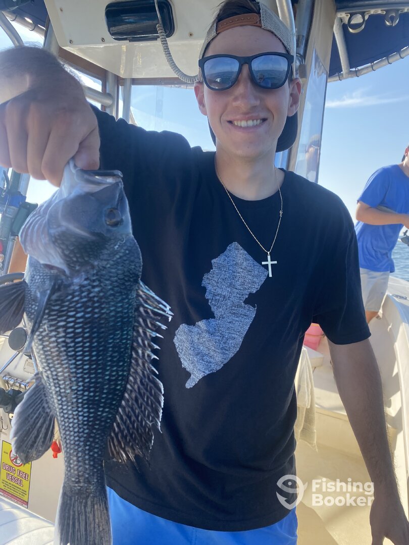 Barnegat Light Report Photo 0