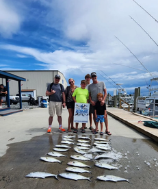 Nice Bluefish!!
