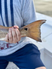 New Smyrna Beach Report Photo 1