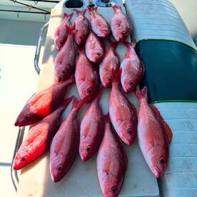 New Smyrna Beach Report Photo 1