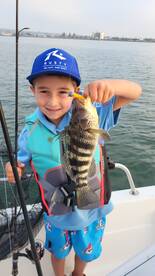 Bass, Bats, and Flats