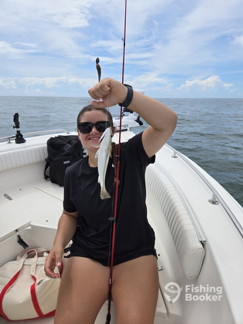 Murrells Inlet Report Photo 0