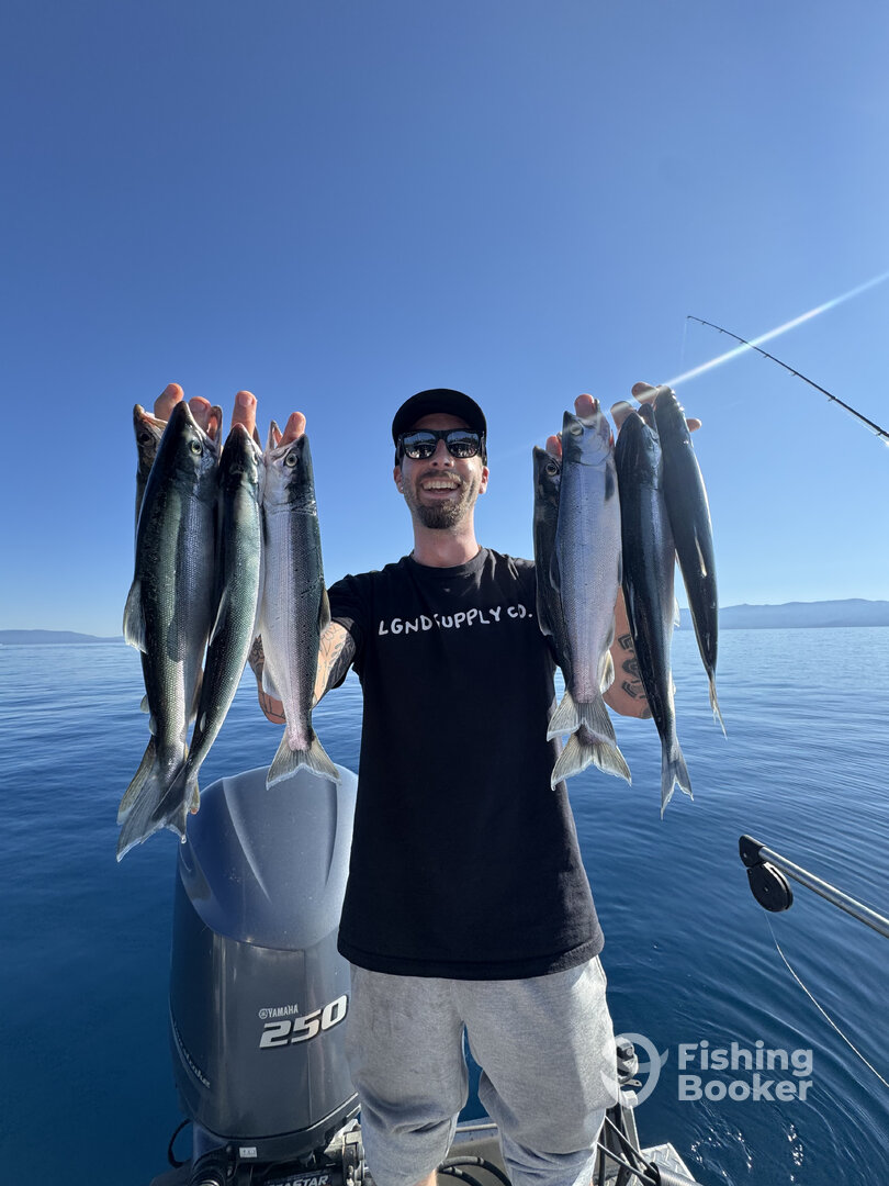 South Lake Tahoe Report Photo 0