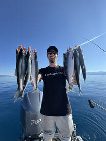 Lake Tahoe Report Photo 2