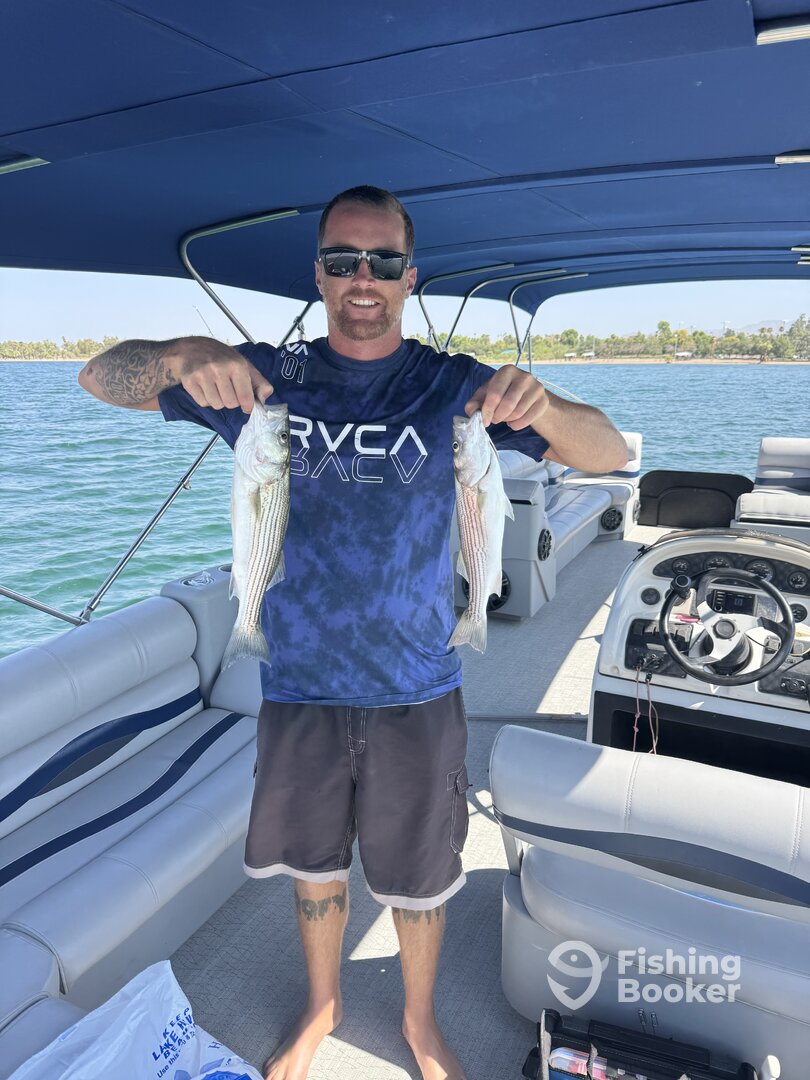 Lake Havasu City Report Photo 0