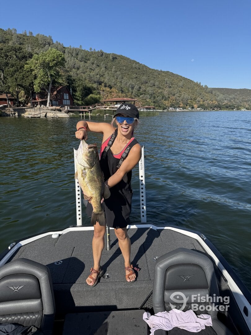 Lakeport Report Photo 0