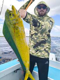 Afternoon Mahi Mahi Action
